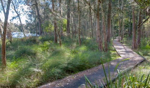 Anabranch Loop Track - Accommodation Brunswick Heads 3
