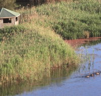 Spring Creek Bird Hide - Accommodation Brunswick Heads