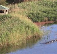 Spring Creek Wetlands Walk - Accommodation Brunswick Heads