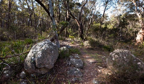 Wadbilliga National Park - Accommodation Brunswick Heads 2