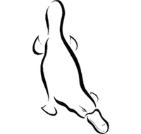 Platypus Gallery - Accommodation Brunswick Heads