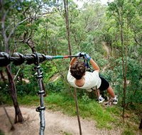 TreeTop Challenge - Accommodation Brunswick Heads