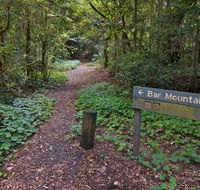 Bar Mountain circuit - Accommodation Brunswick Heads