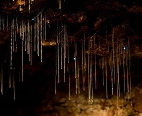 Tamborine Mountain Glow Worm Caves - Accommodation Brunswick Heads 0