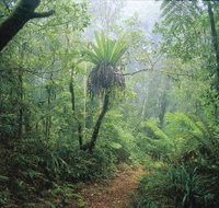 Wagawn - Accommodation Brunswick Heads