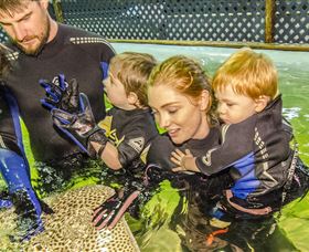 Boat Harbour NSW Accommodation Brunswick Heads