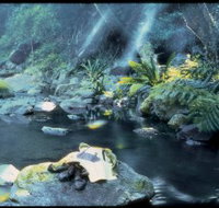 Coomera circuit - Accommodation Brunswick Heads