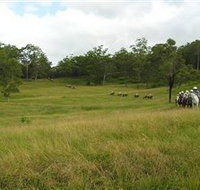 Numinbah Valley Adventure Trails - Accommodation Brunswick Heads