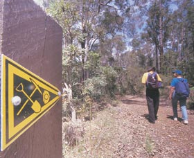 Greenbushes Loop - Accommodation Brunswick Heads 1