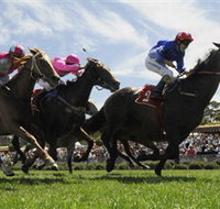 Moruya Racecourse - Accommodation Brunswick Heads