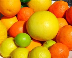 Fruit Salad Tree Company - Accommodation Brunswick Heads 2