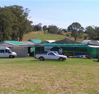 Tinonee Orchid Nursery - Accommodation Brunswick Heads