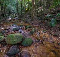 Starrs Creek picnic area - Accommodation Brunswick Heads