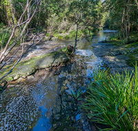 Dawson River walking track - Accommodation Brunswick Heads