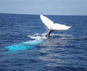 Booderee National Park: Cape St George Lighthouse - Accommodation Brunswick Heads 1