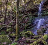 Coorabakh National Park - Accommodation Brunswick Heads