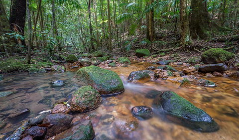 Coorabakh National Park - Accommodation Brunswick Heads 1