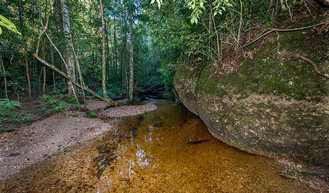Coorabakh National Park - Accommodation Brunswick Heads 2