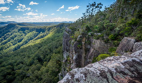Coorabakh National Park - Accommodation Brunswick Heads 3