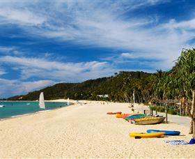 Tangalooma Dolphin Feeding - Accommodation Brunswick Heads 2