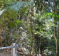 Goorgana walking track - Accommodation Brunswick Heads