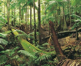 Murwillumbah NSW Accommodation Brunswick Heads