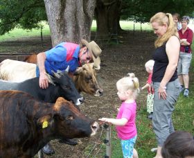 Crystal Creek Miniatures - Accommodation Brunswick Heads 0