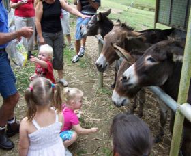Crystal Creek Miniatures - Accommodation Brunswick Heads 1