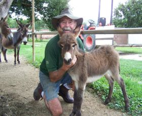 Crystal Creek Miniatures - Accommodation Brunswick Heads 2