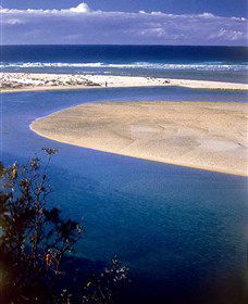 One Tree Point Lookout And Picnic Area - Accommodation Brunswick Heads 1