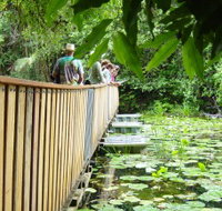 Rocky Creek Dam - Accommodation Brunswick Heads
