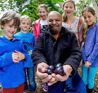 Wigay Aboriginal Culture Park - Accommodation Brunswick Heads