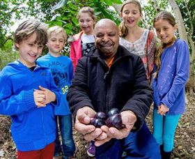 Wigay Aboriginal Culture Park - Accommodation Brunswick Heads 0