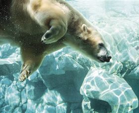 Australia's Sea World - Accommodation Brunswick Heads 0