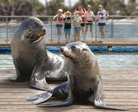Australia's Sea World - Accommodation Brunswick Heads 1