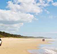 Bongil Bongil National Park - Accommodation Brunswick Heads