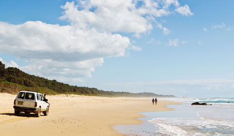 Bongil Bongil National Park - Accommodation Brunswick Heads 0