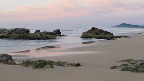 Bongil Bongil National Park - Accommodation Brunswick Heads 3