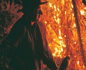 Goodwood Island NSW Accommodation Brunswick Heads