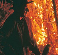 The Shed Gallery - Accommodation Brunswick Heads