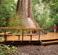 Burrawan State Forest - Accommodation Brunswick Heads