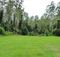 Kerewong State Forest - Accommodation Brunswick Heads