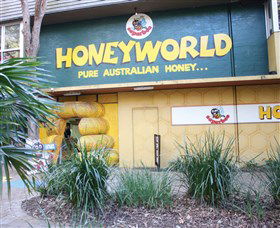 Superbee Honeyworld Gold Coast - Accommodation Brunswick Heads 0