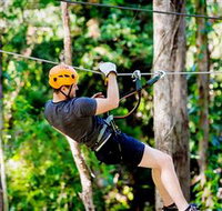 TreeTop Challenge Currumbin - Accommodation Brunswick Heads