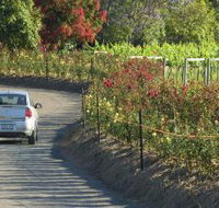 Cassegrain Wines - Accommodation Brunswick Heads