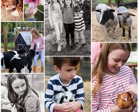 Roses Vineyard And Animal Farm - Accommodation Brunswick Heads 1