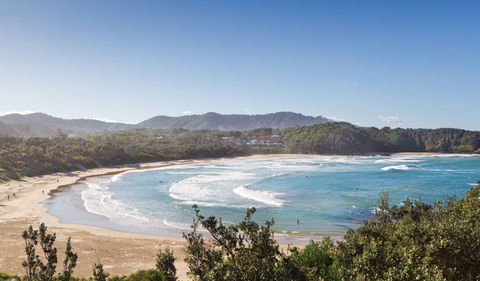 Coffs Coast Regional Park - Accommodation Brunswick Heads 0
