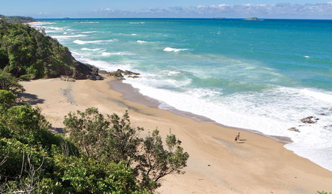 Coffs Coast Regional Park - Accommodation Brunswick Heads 1