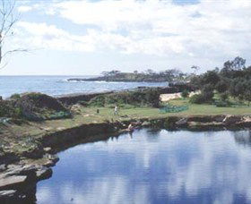 Angourie Blue Pool - Accommodation Brunswick Heads 1