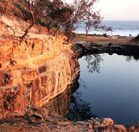 Angourie Blue Pool - Accommodation Brunswick Heads
